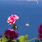 Vinko Apartament Primošten