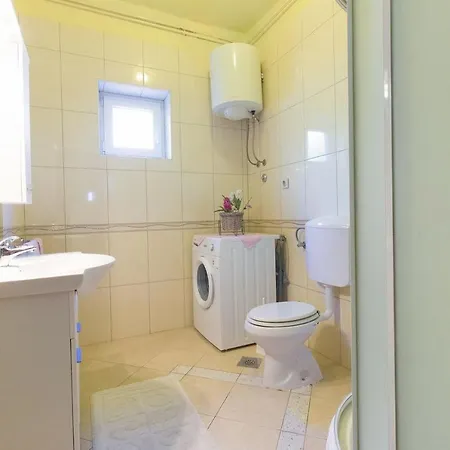 Vinko * 프리모스턴